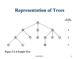 Representation of Trees
CHAPTER 5 12
 