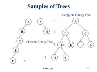 CHAPTER 5 22
Samples of Trees
A
B
A
B
A
B C
GE
I
D
H
F
Complete Binary Tree
Skewed Binary Tree
E
C
D
1
2
3
4
5
 