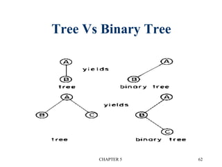 Tree Vs Binary Tree
CHAPTER 5 62
 
