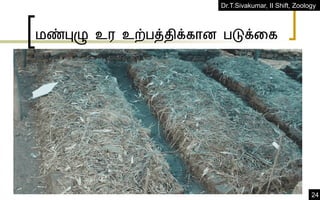 Dr.T.Sivakumar, II Shift, Zoology
24
மண்புழு உை உற்பத்திக்ளான படுக்ரள
 
