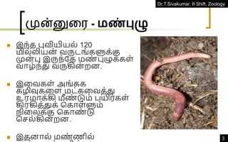 Dr.T.Sivakumar, II Shift, Zoology
3
முன்னுரை - மண்புழு
◼ இந்த புவியியல் 120
மில்லியன் வருடங்களுக்கு
முன் பு இருந்தத மண
் புழுக்கள்
வாழ்ந்து வருகின் றன.
◼ இவவகள் அங்கக
கழிவுகவள மட்கவவத்து
உரமாக்கி மீண
் டும் பயிர்கள்
கிரகித்துக் ககாள்ளும்
நிவலக்கு ககாண
் டு
கெல்கின் றன.
◼ இதனால் மண
் ணில்
 