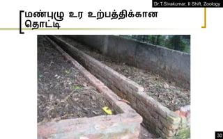 Dr.T.Sivakumar, II Shift, Zoology
30
மண்புழு உர உற்பத்திக்கான
ததாட்டி
 