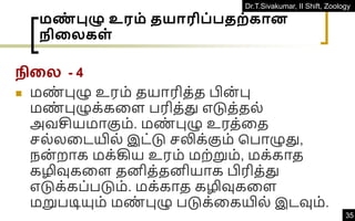 Dr.T.Sivakumar, II Shift, Zoology
35
மண
் புழு உரம் தயாரிப்பதற்கான
ிதலகள்
நிகை - 4
◼ மண
் புழு உரம் தயாரித்த பின் பு
மண
் புழுக்கவள பரித்து எடுத்தல்
அவசியமாகும். மண
் புழு உரத்வத
ெல்லவடயில் இட்டு ெலிக்கும் கபாழுது,
நன் றாக மக்கிய உரம் மற்றும், மக்காத
கழிவுகவள தனித்தனியாக பிரித்து
எடுக்கப்படும். மக்காத கழிவுகவள
மறுபடியும் மண
் புழு படுக்வகயில் இடவும்.
 