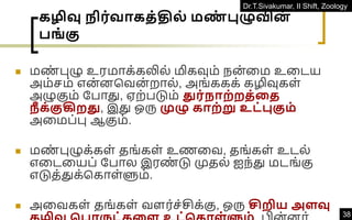 Dr.T.Sivakumar, II Shift, Zoology
38
கழிவு ிர்வாகத்தில் மண
் புழுவின
்
பங் கு
◼ மண
் புழு உரமாக்கலில் மிகவும் நன்வம உவடய
அம்ெம் என்னகவன
் றால், அங்ககக் கழிவுகள்
அழுகும் தபாது, ஏற்படும் துர் ாற்றத்தத
ீ க்குகிறது, இது ஒரு முழு காற்று உட்புகும்
அவமப்பு ஆகும்.
◼ மண
் புழுக்கள் தங்கள் உணவவ, தங்கள் உடல்
எவடவயப் தபால இரண
் டு முதல் ஐந்து மடங்கு
எடுத்துக்ககாள்ளும்.
◼ அவவகள் தங்கள் வளர்ெ்சிக்கு, ஒரு சிறிய அளவு
 