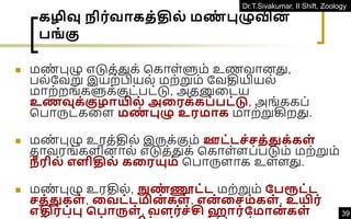 Dr.T.Sivakumar, II Shift, Zoology
39
கழிவு ிர்வாகத்தில் மண
் புழுவின
்
பங் கு
◼ மண
் புழு எடுத்துக் ககாள்ளும் உணவானது,
பல்தவறு இயற்பியல் மற்றும் தவதியியல்
மாற்றங்களுக்குட்பட்டு, அதனுவடய
உணவுக்குைாயில் அதரக்கப்பட்டு, அங்ககப்
கபாருட்கவள மண
் புழு உரமாக மாற்றுகிறது.
◼ மண
் புழு உரத்தில் இருக்கும் ஊட்டெ்ெத்துக்கள்
தாவரங்களினால் எடுத்துக் ககாள்ளப்படும் மற்றும்
ீ ரில் எளிதில் கதரயும் கபாருளாக உள்ளது.
◼ மண
் புழு உரதில், நுண
் ணூட்ட மற்றும் நபரூட்ட
ெத்துகள் , தவட்டமின
் கள் , என
் தெம்கள் , உயிர்
எதிர்ப்பு சபாருள் , வளர்ெ்சி ஹார்நமான
் கள்
 