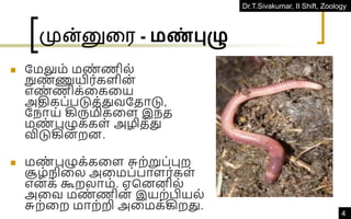 Dr.T.Sivakumar, II Shift, Zoology
4
முன்னுரை - மண்புழு
◼ தமலும் மண
் ணில்
நுண
் ணுயிர்களின்
எண
் ணிக்வகவய
அதிகப்படுத்துவததாடு,
தநாய் கிருமிகவள இந்த
மண
் புழுக்கள் அழித்து
விடுகின் றன.
◼ மண
் புழுக்கவள சுற்றுப்புற
சூழ்நிவல அவமப்பாளர்கள்
எனக் கூறலாம். ஏகனனில்
அவவ மண
் ணின் இயற்பியல்
சுற்வற மாற்றி அவமக்கிறது.
 