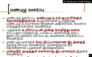 Dr.T.Sivakumar, II Shift, Zoology
6
மண்புழு வளர்ப்பு
◼ மண
் புழு வளர்ப்பு, மண
் புழு உரம் தயாரிக்கும்
ந ாக்கத்திற்காக தமற்ககாள்ளப்படுகிறது.
மண
் புழு உரமாக்கல் திறவன அதிகரிக்க, கவனம்
எடுத்துக்ககாள்ள தவண
் டும்.
◼ புழுக்கள் உயிர்ப்புடன
் ன
் கு செழித்து வளர
ஈரப்பதம் மற்றும் தட்பகவப்ப நிவலக்கு ஏற்ப,
இனப்கபருக்கம் கெய்ய நடவடிக்வக எடுக்கப்பட
தவண
் டும்.
◼ மண
் புழு வளர்க்க நமட்டுப்பாங் கான இடத்ததத்
ததர்வு கெய்ய தவண
் டும். ஏகனன் றால் நீ ர்
ததங்கினால் புழுக்கள் இறந்துவிடும்.
◼ மதை ீ ர் அடித்துெ் செல்லாத இடமாகவும் இருக்க
தவண
் டும்.
 