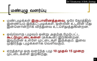 Dr.T.Sivakumar, II Shift, Zoology
9
மண்புழு வளர்ப்பு
◼ மண
் புழுக்கள் இருபாலினத்ததவ. ஒதர தநரத்தில்
இவணயும் இந்தப் புழுக்கள், ஒன் றின் உடலின் மீது
இன் கனான் றாக விந்துவவ உட்கெலுத்துகின் றன.
◼ ஒவ்கவாரு புழுவும் ஒன்று அதற்கு தமற்பட்ட
கூட்டுமுட்தடகதள (கக்கூன் ) இடுகின் றன.
இவற்றின் உள்தள முட்வடகள் இருக்கும். இவவ
முதிர்ந்து புழுக்களாக கவளிவரும்.
◼ ஏறத்தாழ ஒரு வளர்ந்த புழு 10 முதல் 15 முதற
முட்வடகவள இடுகிறது.
 