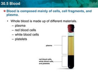 Blood is composed mainly of cells, cell fragments, and plasma.  Whole blood is made up of different materials. plasma red blood cells  white blood cells  platelets  red blood cells, white blood cells, and platelets plasma 
