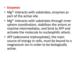 Bioinorganic Chemistry - Metal Ion Transport, Oxygen Transport | PDF