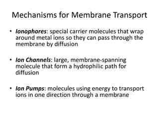 Bioinorganic Chemistry - Metal Ion Transport, Oxygen Transport | PDF