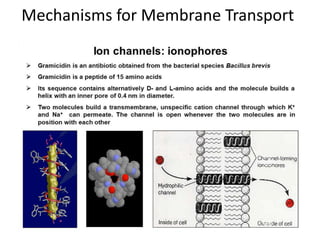 Bioinorganic Chemistry - Metal Ion Transport, Oxygen Transport | PDF