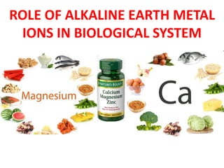 Bioinorganic Chemistry - Metal Ion Transport, Oxygen Transport | PDF