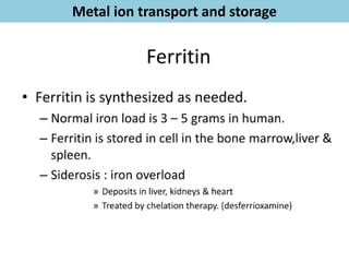 Bioinorganic Chemistry - Metal Ion Transport, Oxygen Transport | PDF