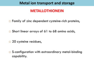 Bioinorganic Chemistry - Metal Ion Transport, Oxygen Transport | PDF