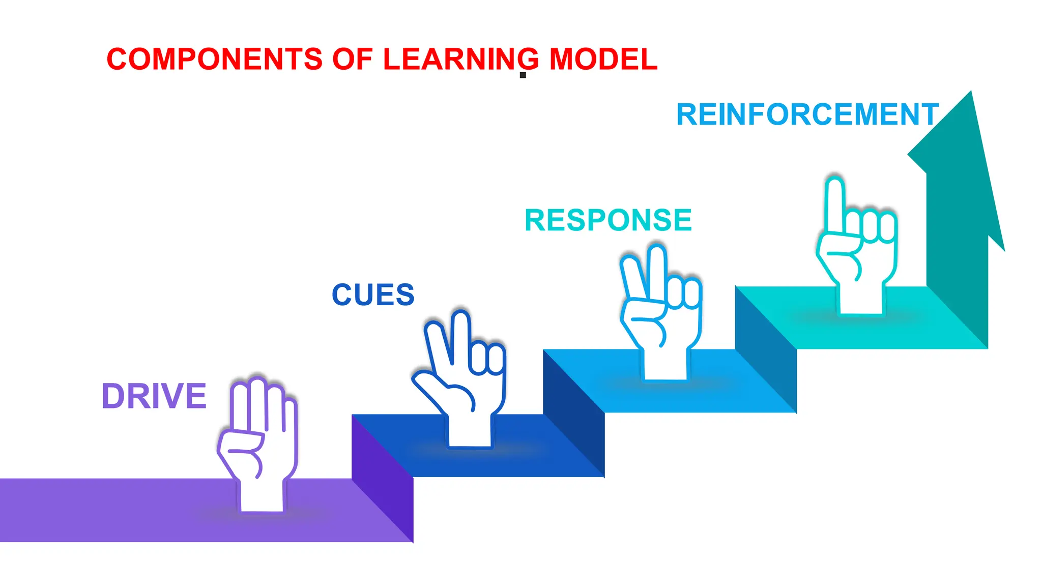 CUES
DRIVE
RESPONSE
REINFORCEMENT
.
COMPONENTS OF LEARNING MODEL
 