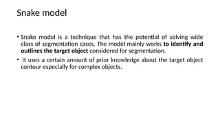 Snake Segmentation Computer Vision UNit 3 Presentaion Slide | PPTX