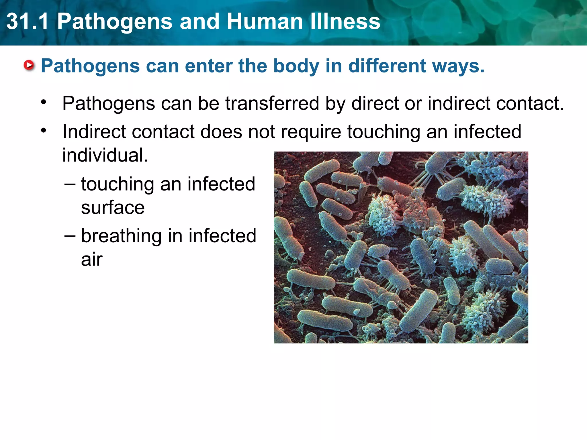 Pathogens can enter the body in different ways. Pathogens can be transferred by direct or indirect contact. Indirect contact does not require touching an infected individual.   touching an infected    surface breathing in infected    air 
