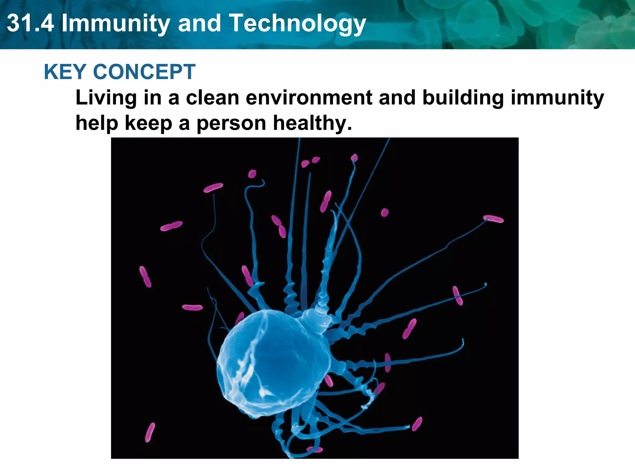 KEY CONCEPT Living in a clean environment and building immunity help keep a person healthy. 