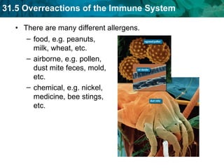 There are many different allergens.   food, e.g. peanuts, milk, wheat, etc. airborne, e.g. pollen, dust mite feces, mold, etc. chemical, e.g. nickel, medicine, bee stings, etc. 