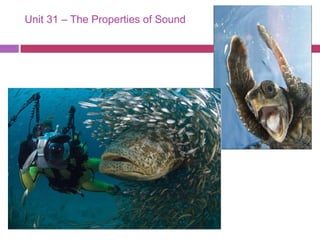 Unit 31 – The Properties of Sound  