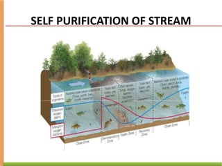 Self Purification Industrial waster water management and its application | PPTX