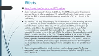 Effects
Sea levels and ocean acidification
 As ice melts, the ocean levels rise. In 2014, the World Meteorological Organization
reported that sea level rise accelerated .12 inches (3 millimeters) per year on average
worldwide. This is around double the average annual rise of .07 in (1.6 mm) in the
20th century.
 Sea level isn't the only thing changing for the oceans due to global warming. As levels
of CO2 increase, the oceans absorb some of that gas, which increases the acidity of
seawater. Werne explains it this way: "When you dissolved CO2 in water, you get
carbonic acid. This is the same exact thing that happens in cans of soda. When
you pop the top on a can of Dr Pepper, the pH is 2 — quite acidic." Since the
Industrial Revolution began in the early 1700s, the acidity of the oceans has increased
about 25 percent, according to the EPA. "This is a problem in the oceans in large
part because many marine organisms make shells out of calcium carbonate (think
corals, oysters), and their shells dissolve in acid solution," said Werne. "So as we
add more and more CO2 to the ocean, it gets more and more acidic, dissolving more
and more shells of sea creatures. It goes without saying that this is not good for their
health."
 If current ocean acidification trends continue, coral reefs are expected to become
increasingly rare in areas where they are now common, including most U.S. waters,
the EPA reports.
 