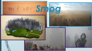 Smog
 