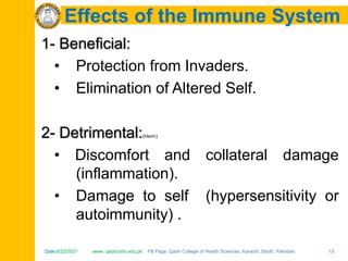 Date:6/22/2021 www. qadricohs.edu.pk FB Page: Qadri College of Health Sciences, Karachi, Sindh, Pakistan. 13
Date:6/22/2021 www. qadricohs.edu.pk FB Page: Qadri College of Health Sciences, Karachi, Sindh, Pakistan. 13
Effects of the Immune System
1- Beneficial:
• Protection from Invaders.
• Elimination of Altered Self.
2- Detrimental:(Harm)
• Discomfort and collateral damage
(inflammation).
• Damage to self (hypersensitivity or
autoimmunity) .
 