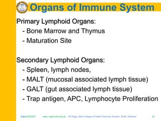 Date:6/22/2021 www. qadricohs.edu.pk FB Page: Qadri College of Health Sciences, Karachi, Sindh, Pakistan. 20
Date:6/22/2021 www. qadricohs.edu.pk FB Page: Qadri College of Health Sciences, Karachi, Sindh, Pakistan. 20
Organs of Immune System
Primary Lymphoid Organs:
- Bone Marrow and Thymus
- Maturation Site
Secondary Lymphoid Organs:
- Spleen, lymph nodes,
- MALT (mucosal associated lymph tissue)
- GALT (gut associated lymph tissue)
- Trap antigen, APC, Lymphocyte Proliferation
 