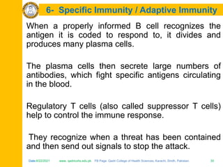 Date:6/22/2021 www. qadricohs.edu.pk FB Page: Qadri College of Health Sciences, Karachi, Sindh, Pakistan. 30
Date:6/22/2021 www. qadricohs.edu.pk FB Page: Qadri College of Health Sciences, Karachi, Sindh, Pakistan. 30
6- Specific Immunity / Adaptive Immunity
When a properly informed B cell recognizes the
antigen it is coded to respond to, it divides and
produces many plasma cells.
The plasma cells then secrete large numbers of
antibodies, which fight specific antigens circulating
in the blood.
Regulatory T cells (also called suppressor T cells)
help to control the immune response.
They recognize when a threat has been contained
and then send out signals to stop the attack.
 