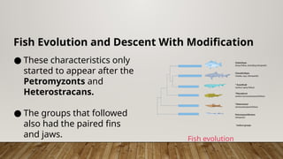 Unit 32 The Origin and Extinction of Species 1.pptx