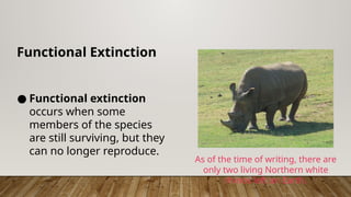 Unit 32 The Origin and Extinction of Species 3.pptx