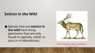Unit 32 The Origin and Extinction of Species 3.pptx