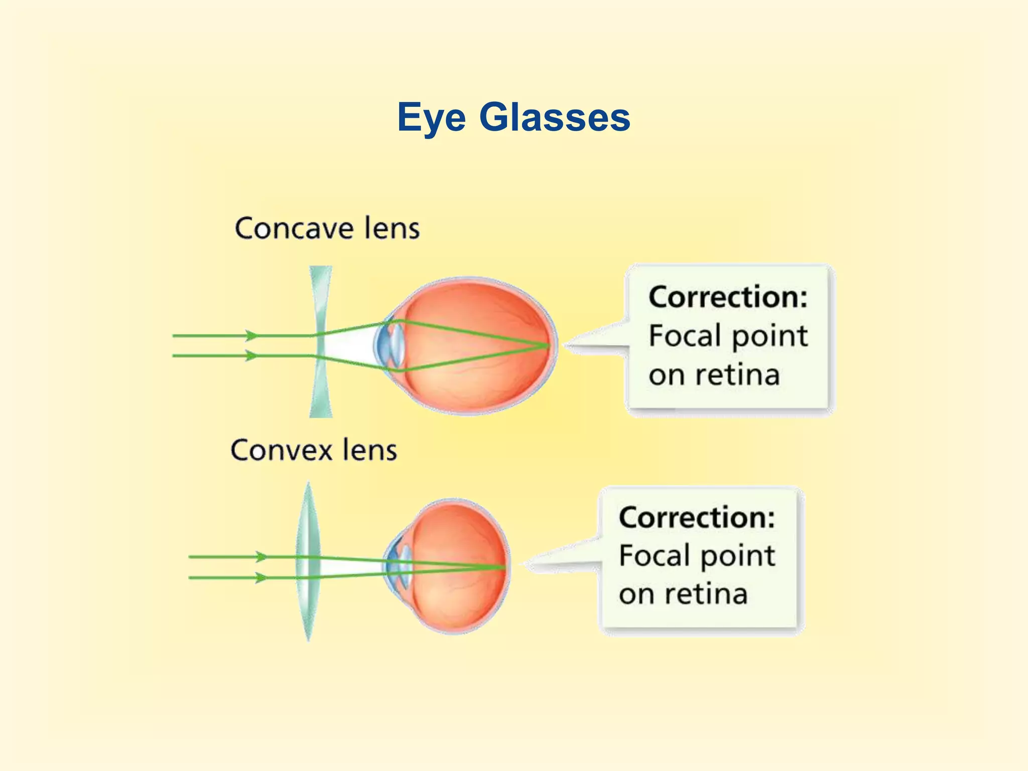 An inverted image has been flipped upside down. 