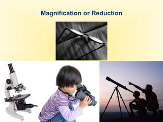 Magnification or Reduction,[object Object]