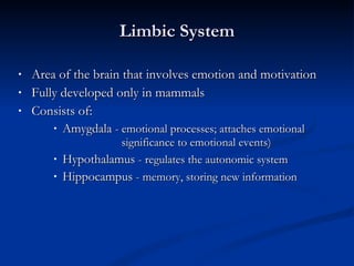 Limbic System Area of the brain that involves emotion and motivation Fully developed only in mammals Consists of: Amygdala  - emotional processes; attaches emotional      significance to emotional events) Hypothalamus  - regulates the autonomic system  Hippocampus  - memory, storing new information 