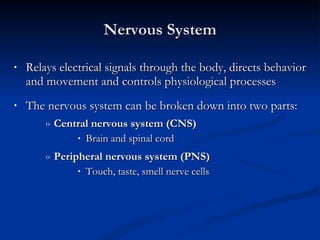 Nervous System Relays electrical signals through the body, directs behavior and movement and controls physiological processes  The nervous system can be broken down into two parts: Central nervous system (CNS) Brain and spinal cord Peripheral nervous system (PNS)   Touch, taste, smell nerve cells 