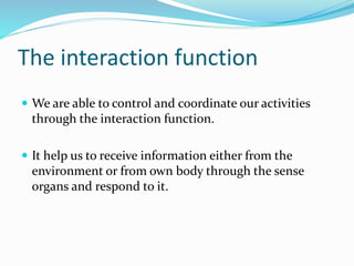 The human body and interaction | PPTX
