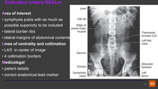 Comprehensive Radiographic Techniques and Anatomy of the Abdomen | PDF