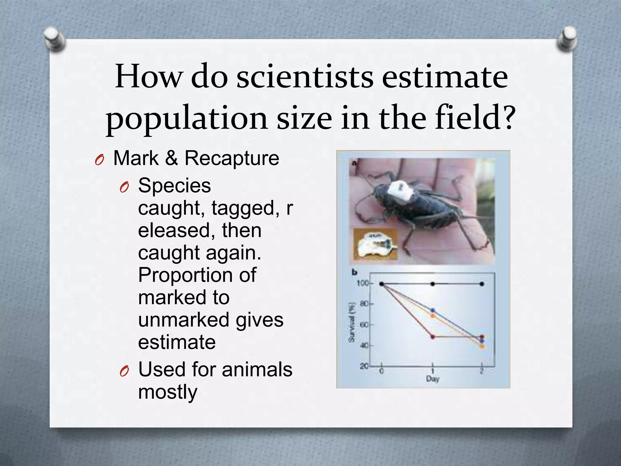 How do scientists estimate
population size in the field?
O Mark & Recapture
O Species

caught, tagged, r
eleased, then
caught again.
Proportion of
marked to
unmarked gives
estimate
O Used for animals
mostly

 