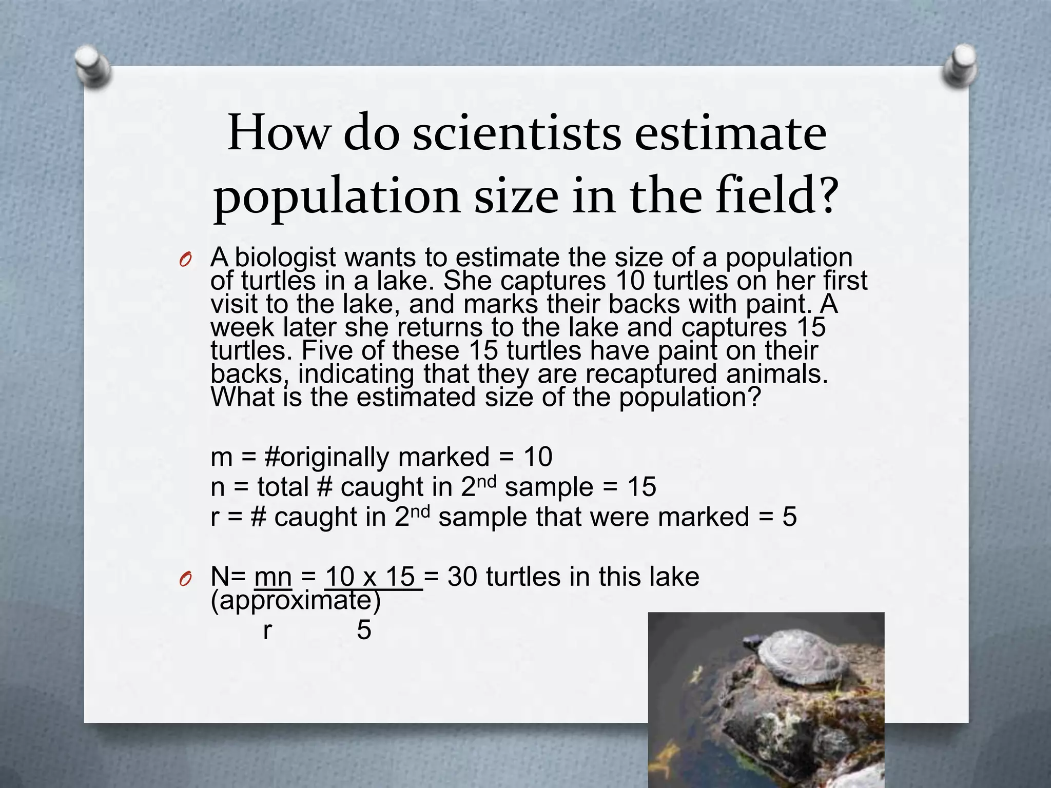 How do scientists estimate
population size in the field?
O A biologist wants to estimate the size of a population

of turtles in a lake. She captures 10 turtles on her first
visit to the lake, and marks their backs with paint. A
week later she returns to the lake and captures 15
turtles. Five of these 15 turtles have paint on their
backs, indicating that they are recaptured animals.
What is the estimated size of the population?
m = #originally marked = 10
n = total # caught in 2nd sample = 15
r = # caught in 2nd sample that were marked = 5

O N= mn = 10 x 15 = 30 turtles in this lake

(approximate)
r
5

 