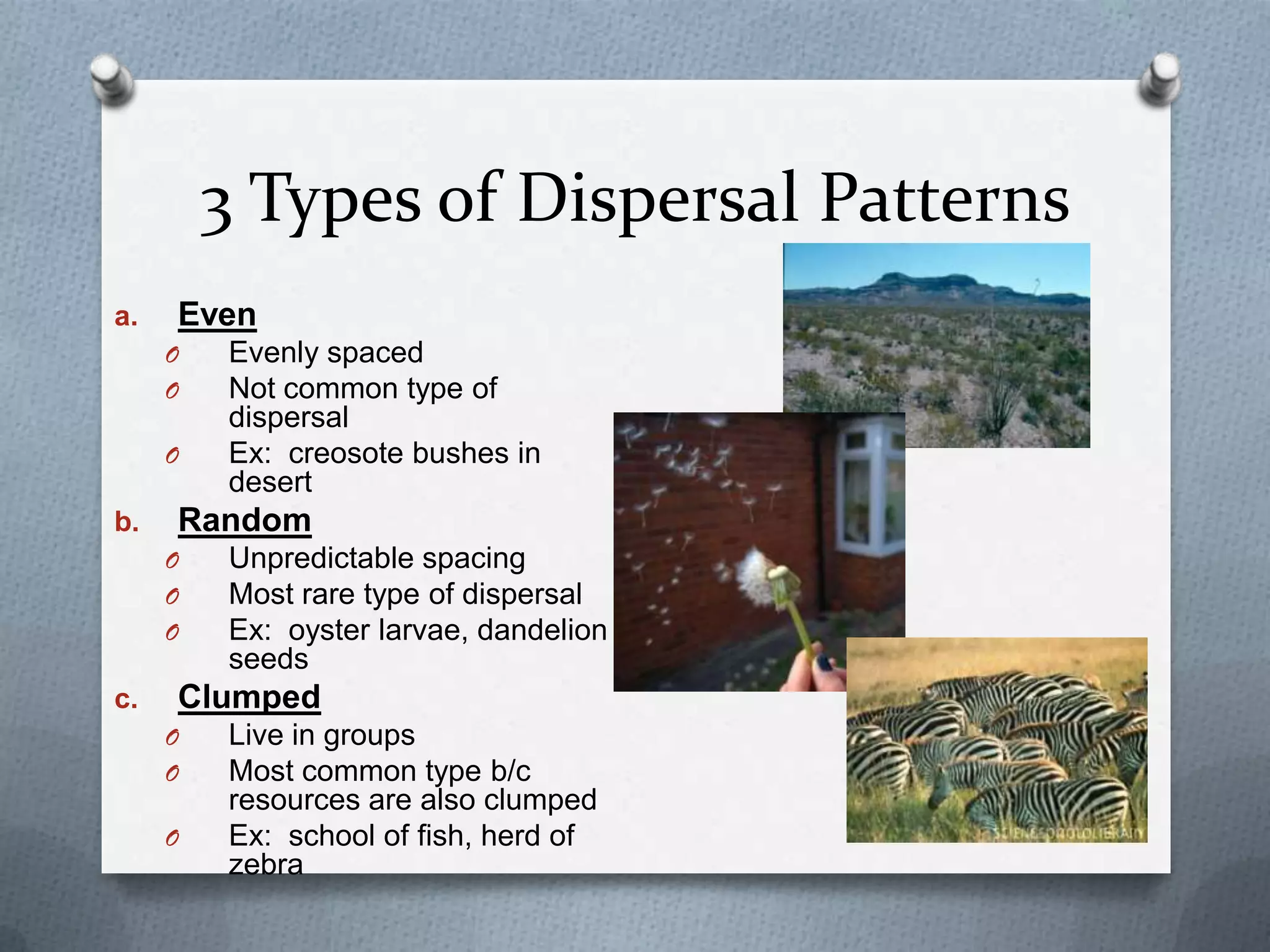 3 Types of Dispersal Patterns
a.

Even
O
O
O

b.

Random
O
O
O

c.

Evenly spaced
Not common type of
dispersal
Ex: creosote bushes in
desert
Unpredictable spacing
Most rare type of dispersal
Ex: oyster larvae, dandelion
seeds

Clumped
O
O
O

Live in groups
Most common type b/c
resources are also clumped
Ex: school of fish, herd of
zebra

 