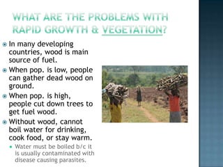 In many developing
countries, wood is main
source of fuel.
 When pop. is low, people
can gather dead wood on
ground.
 When pop. is high,
people cut down trees to
get fuel wood.
 Without wood, cannot
boil water for drinking,
cook food, or stay warm.




Water must be boiled b/c it
is usually contaminated with
disease causing parasites.

 