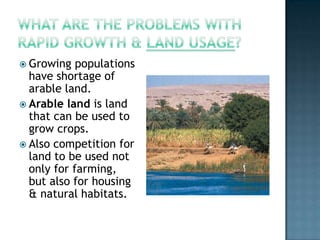  Growing

populations
have shortage of
arable land.
 Arable land is land
that can be used to
grow crops.
 Also competition for
land to be used not
only for farming,
but also for housing
& natural habitats.

 