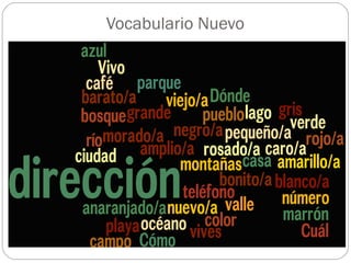 Vocabulario Nuevo
 
