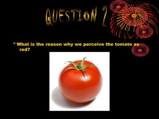 º What is the reason why we perceive the tomato as
red?
 
