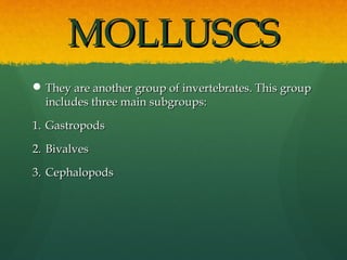 MOLLUSCSMOLLUSCS
 They are another group of invertebrates. This groupThey are another group of invertebrates. This group
includes three main subgroups:includes three main subgroups:
1.1. GastropodsGastropods
2.2. BivalvesBivalves
3.3. CephalopodsCephalopods
 