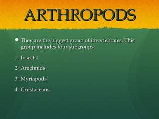 ARTHROPODSARTHROPODS
 They are the biggest group of invertebrates. ThisThey are the biggest group of invertebrates. This
group includes four subgroups:group includes four subgroups:
1.1. InsectsInsects
2.2. ArachnidsArachnids
3.3. MyriapodsMyriapods
4.4. CrustaceansCrustaceans
 