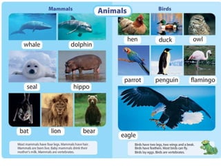 Unit3 animals